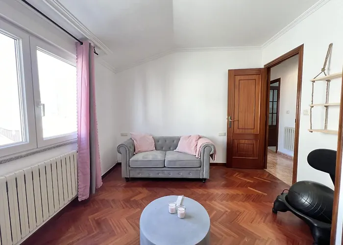 Pink Panther A Coruna